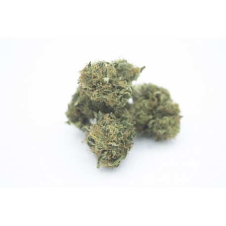 New York Diesel - CBD Weed