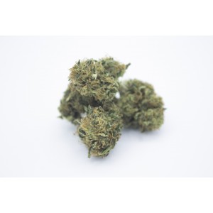 New York Diesel - CBD Weed